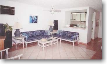 livingroom with kitchen