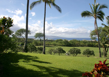 Wailea Ekolu Vacation Rentals